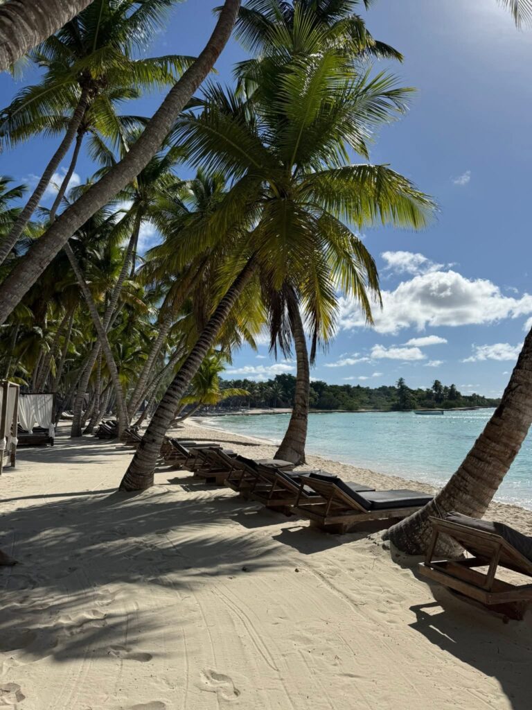 FB_IMG_1765808631478