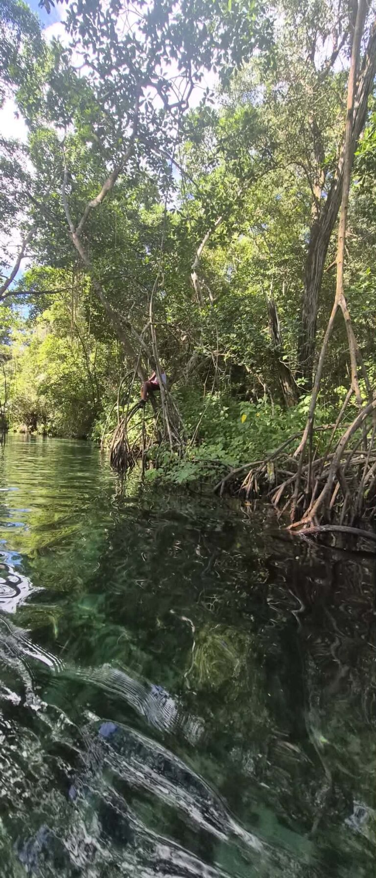 WhatsApp Image 2025-12-28 at 16.29.16 (1)