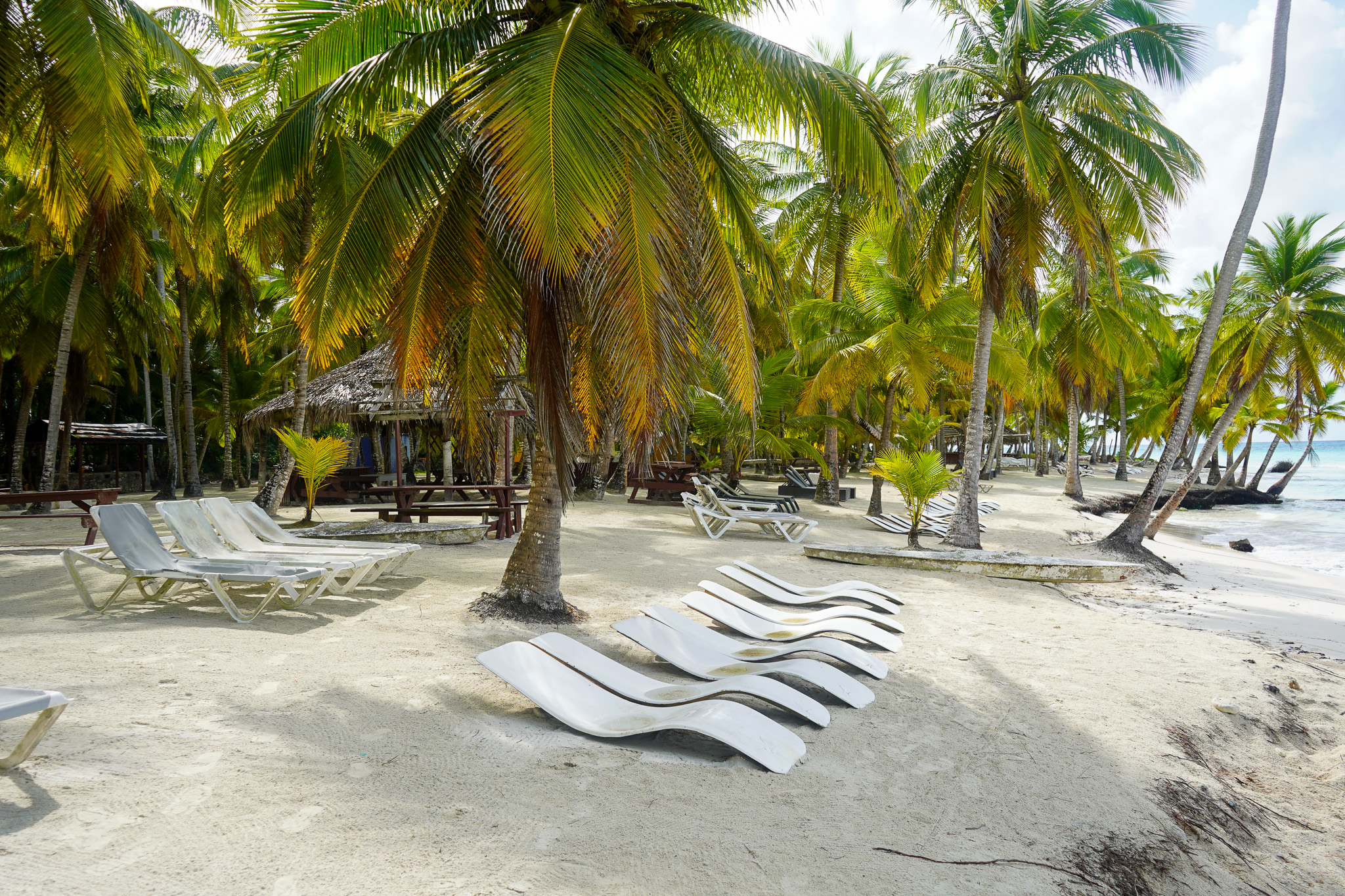 Saona 1 plaża motorówka / katamaran – Saona z Punta Cana i Bávaro
