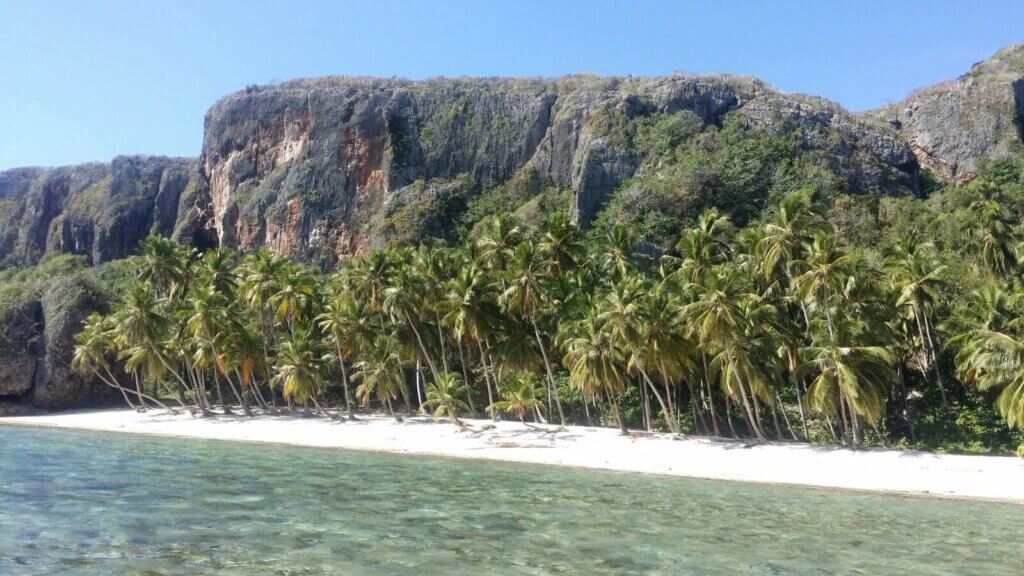 blog1