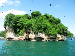 images (1) — kopia