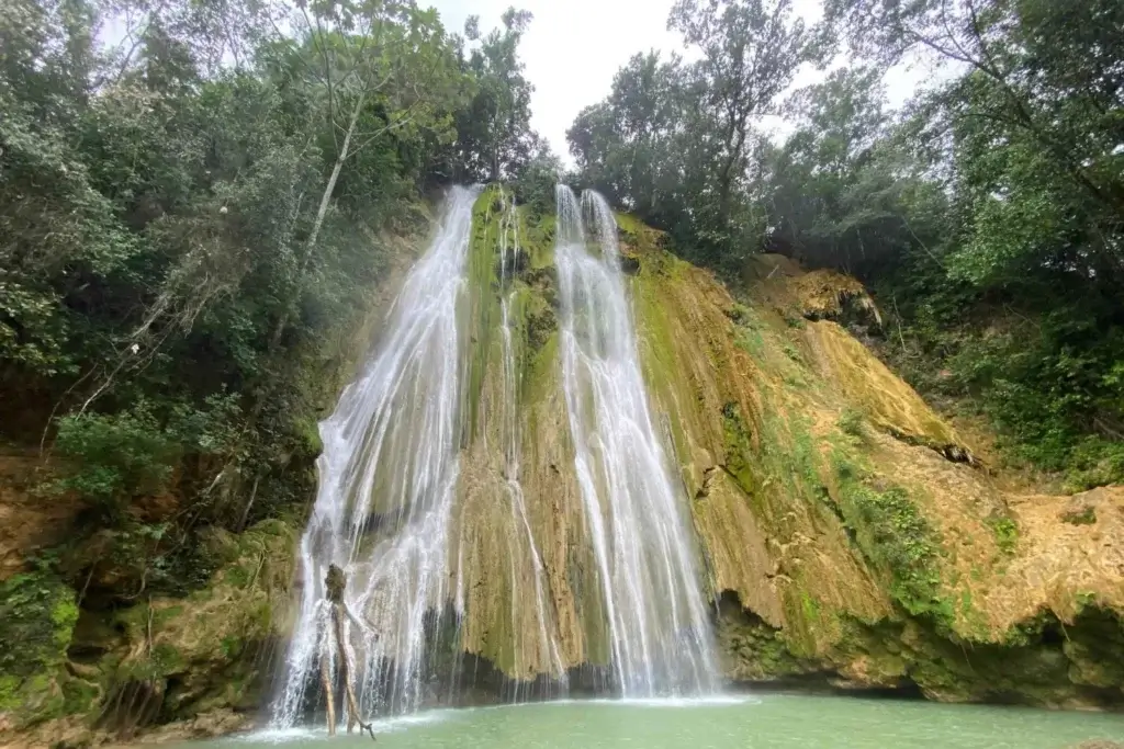 samana-el-limon-waterfall-horseback-riding-tour-4755797