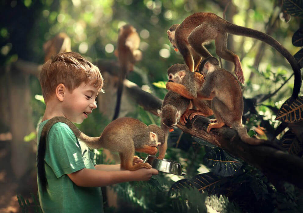 Monkeyland Punta Cana Tour